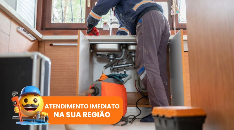 Desentupidora de pias